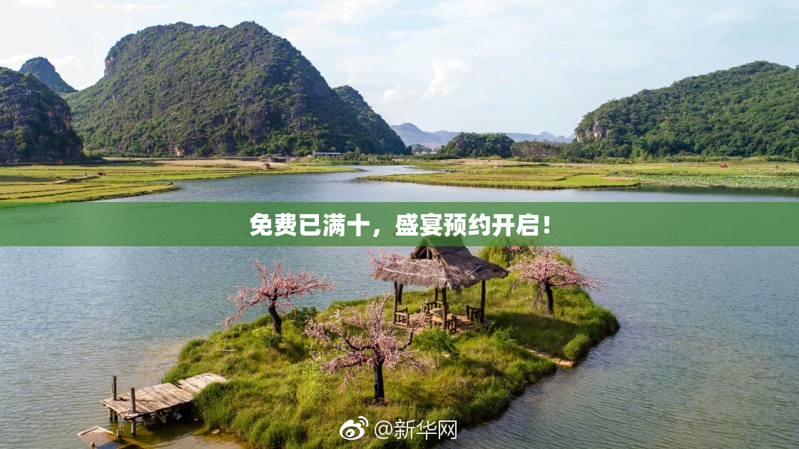 免费已满十，盛宴预约开启！