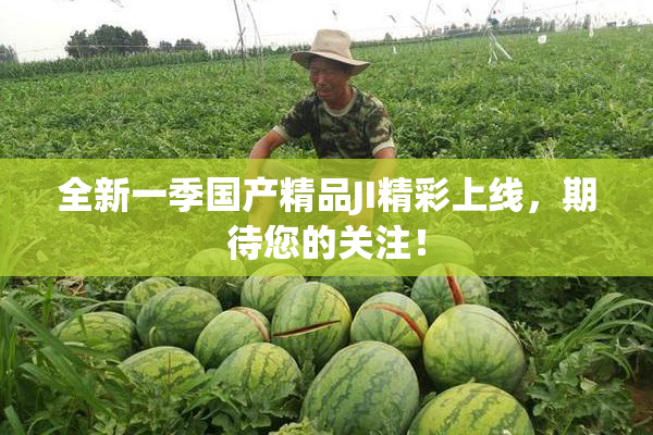 全新一季国产精品JI精彩上线，期待您的关注！