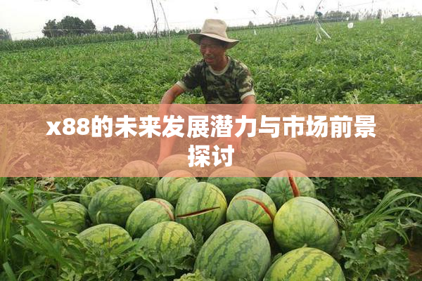 x88的未来发展潜力与市场前景探讨