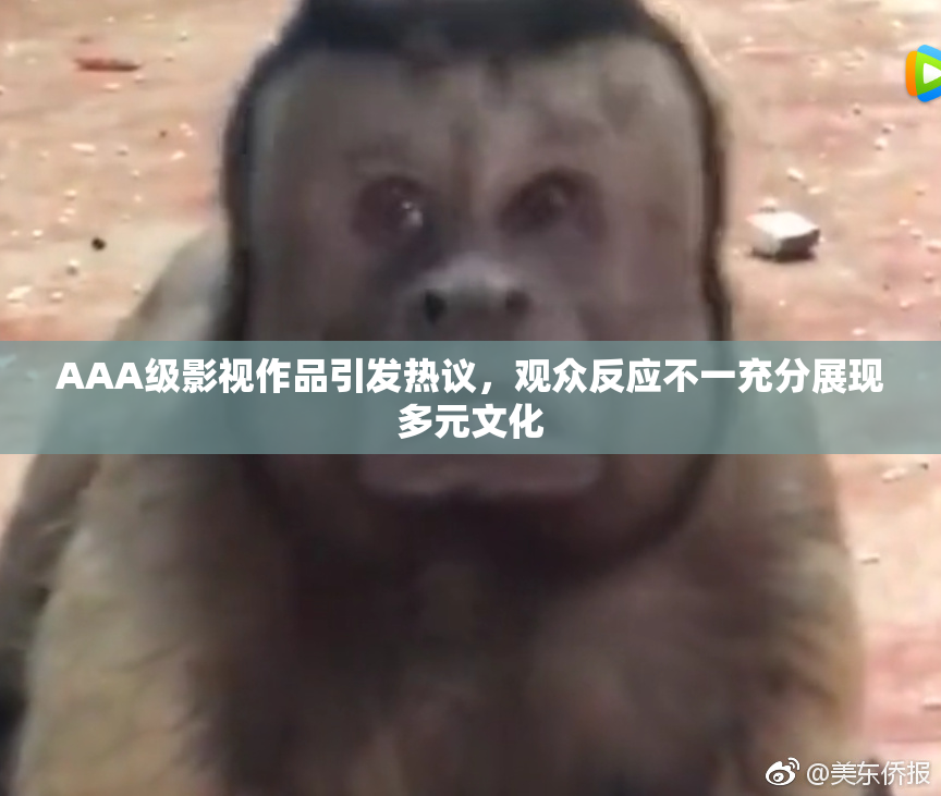 AAA级影视作品引发热议，观众反应不一充分展现多元文化