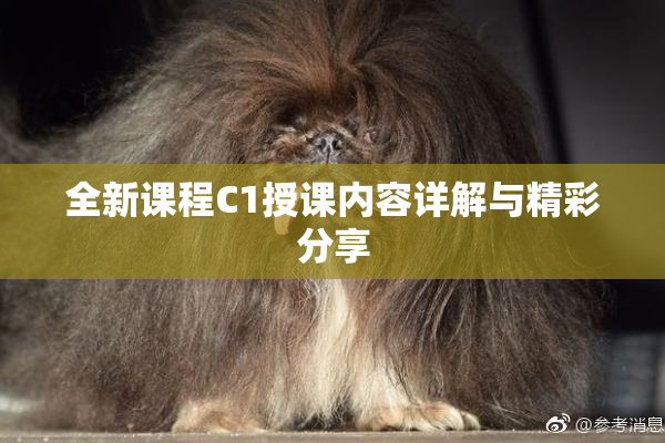 全新课程C1授课内容详解与精彩分享