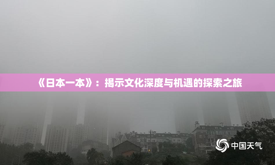 《日本一本》：揭示文化深度与机遇的探索之旅