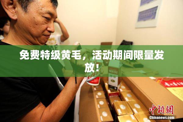 免费特级黄毛，活动期间限量发放！