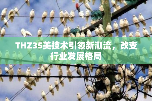 THZ35美技术引领新潮流，改变行业发展格局