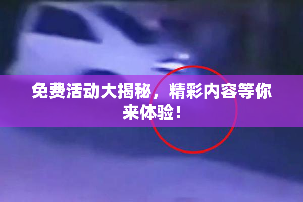 免费活动大揭秘，精彩内容等你来体验！
