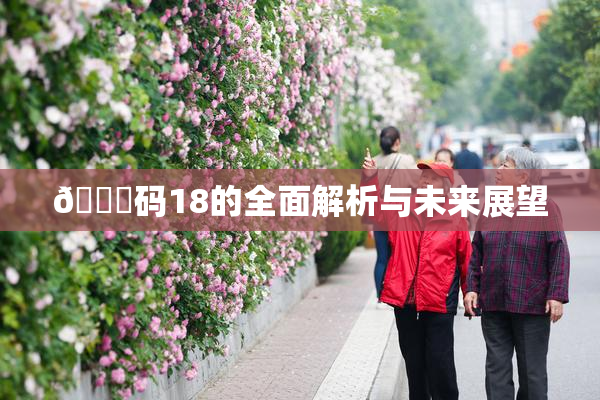 🈚码18的全面解析与未来展望