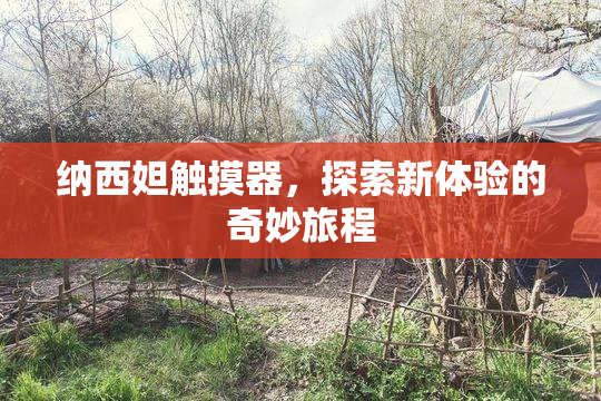 纳西妲触摸器，探索新体验的奇妙旅程