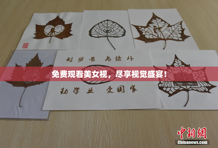 免费观看美女视，尽享视觉盛宴！