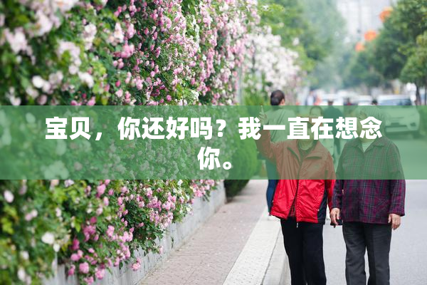 宝贝，你还好吗？我一直在想念你。