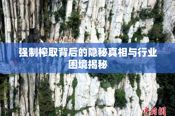 强制榨取背后的隐秘真相与行业困境揭秘