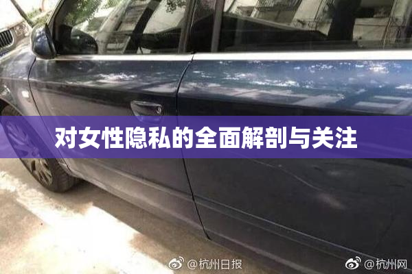 对女性隐私的全面解剖与关注