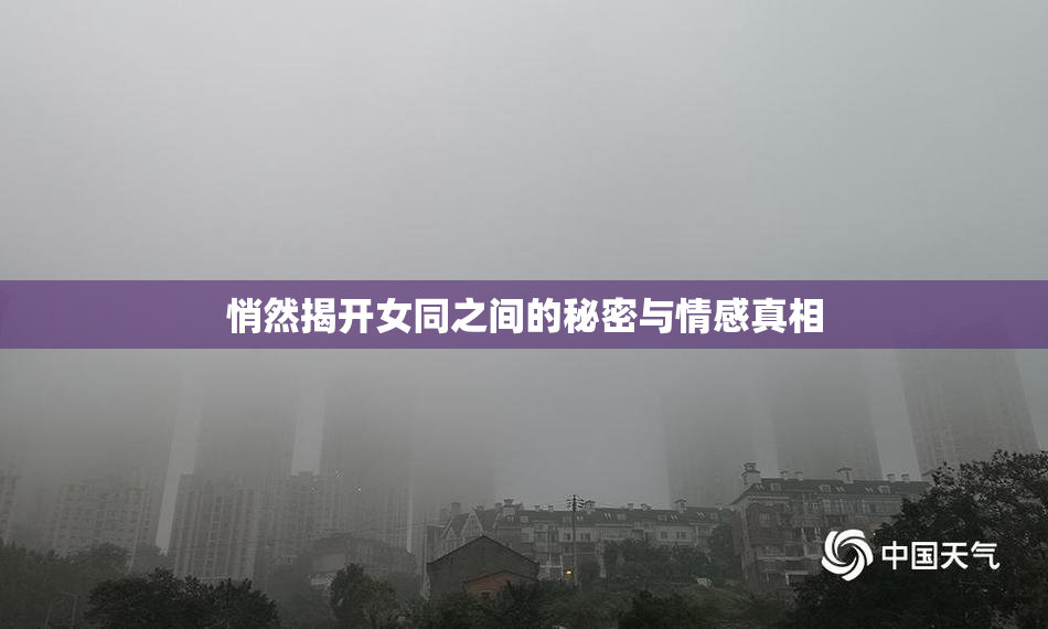 悄然揭开女同之间的秘密与情感真相