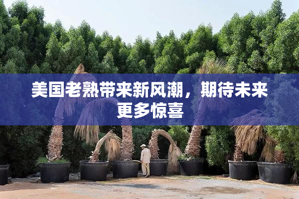 美国老熟带来新风潮，期待未来更多惊喜