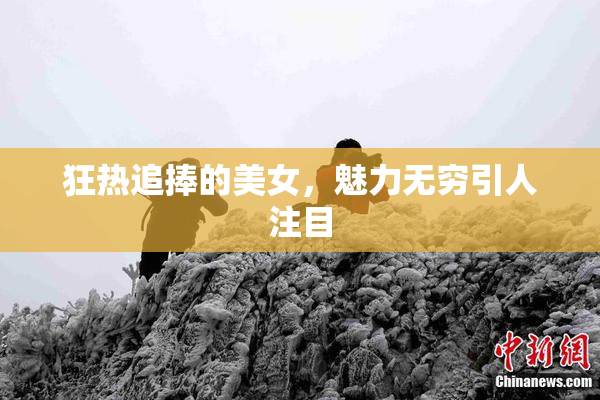 狂热追捧的美女，魅力无穷引人注目