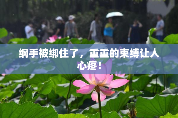 纲手被绑住了，重重的束缚让人心疼！