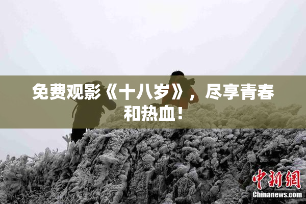 免费观影《十八岁》，尽享青春和热血！