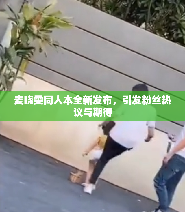 麦晓雯同人本全新发布，引发粉丝热议与期待
