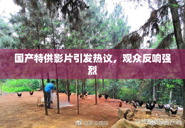 国产特供影片引发热议，观众反响强烈