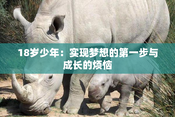 18岁少年：实现梦想的第一步与成长的烦恼