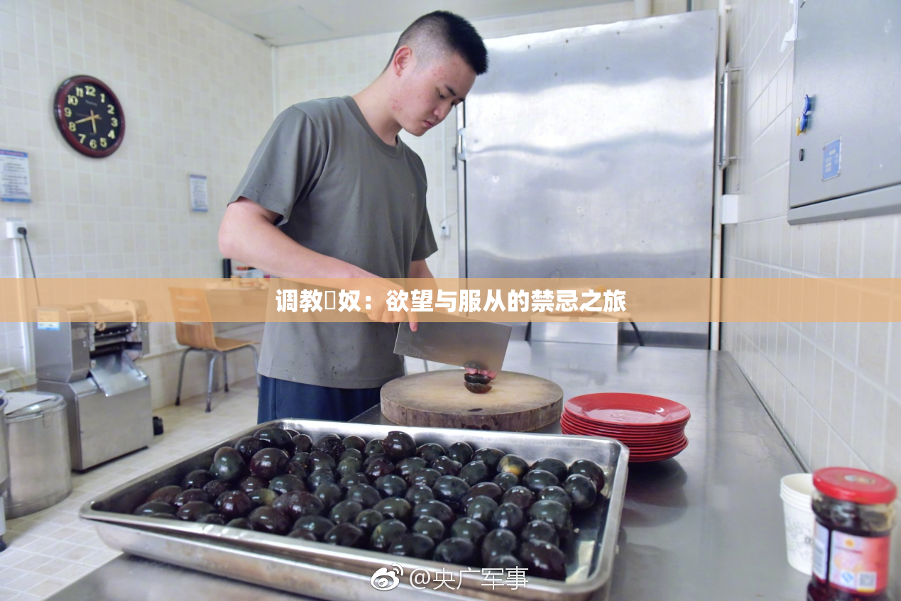 调教婬奴：欲望与服从的禁忌之旅