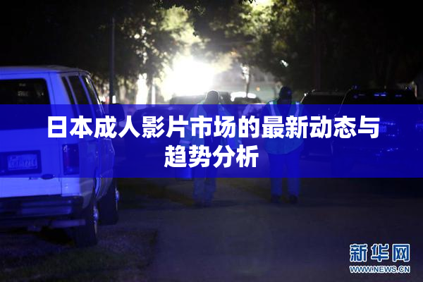 日本成人影片市场的最新动态与趋势分析