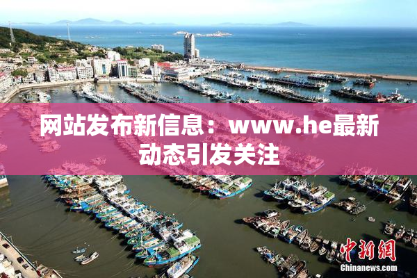 网站发布新信息：www.he最新动态引发关注