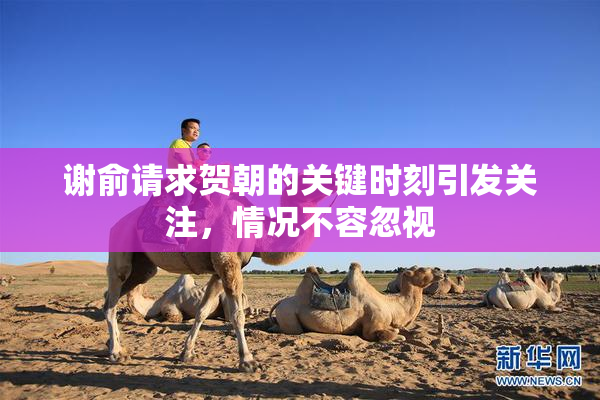 谢俞请求贺朝的关键时刻引发关注，情况不容忽视