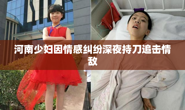 河南少妇因情感纠纷深夜持刀追击情敌