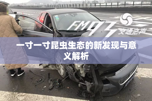 一寸一寸昆虫生态的新发现与意义解析