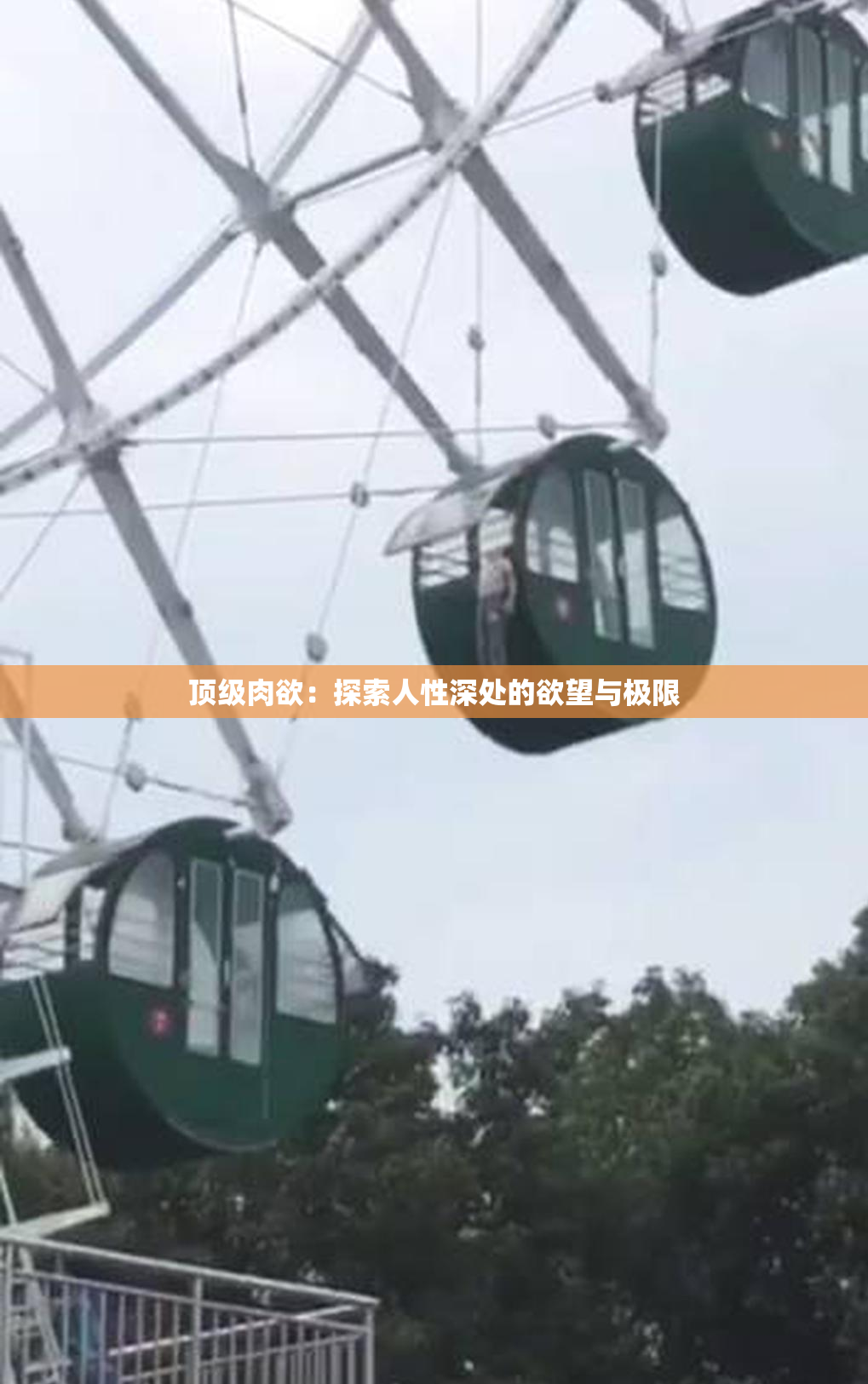 顶级肉欲：探索人性深处的欲望与极限