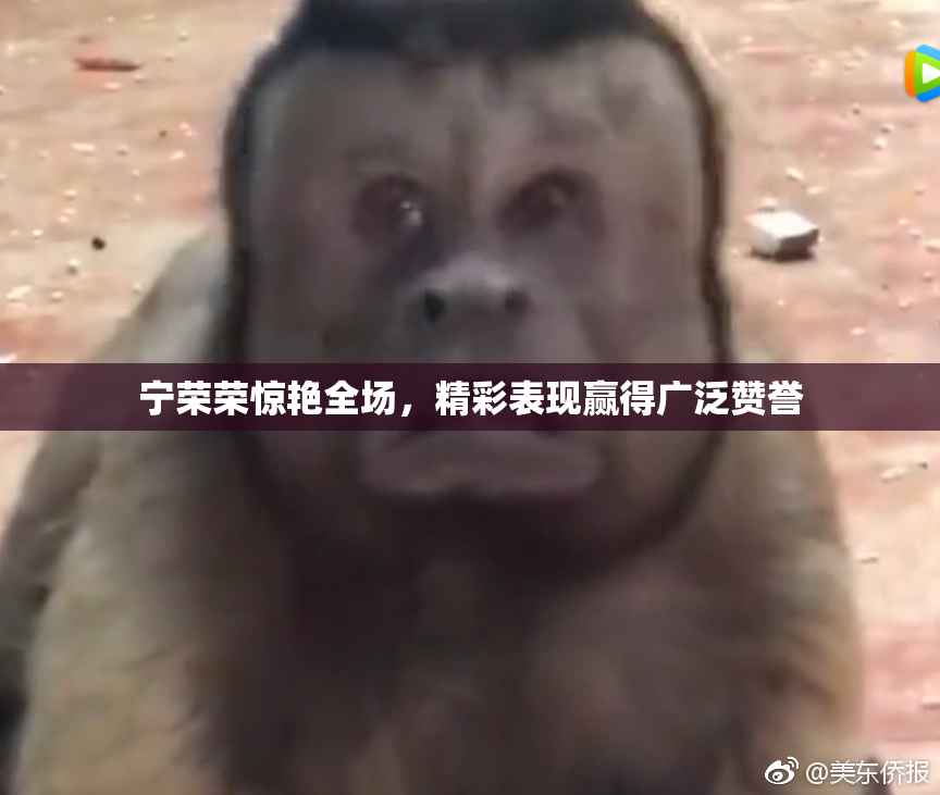 宁荣荣惊艳全场，精彩表现赢得广泛赞誉