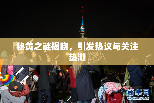 秘黄之谜揭晓，引发热议与关注热潮