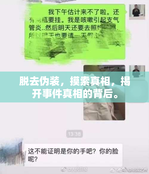 脱去伪装，摸索真相，揭开事件真相的背后。