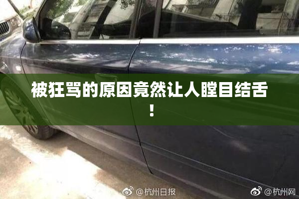 被狂骂的原因竟然让人瞠目结舌！