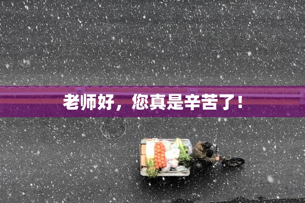 老师好，您真是辛苦了！