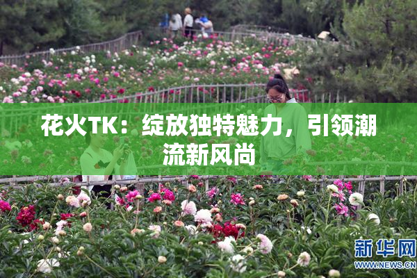 花火TK：绽放独特魅力，引领潮流新风尚