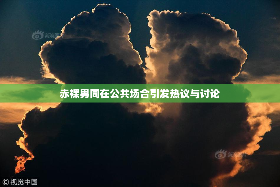 赤裸男同在公共场合引发热议与讨论