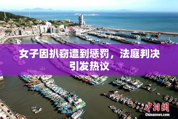 女子因扒窃遭到惩罚，法庭判决引发热议