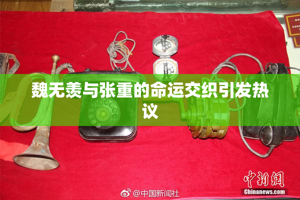 魏无羡与张重的命运交织引发热议