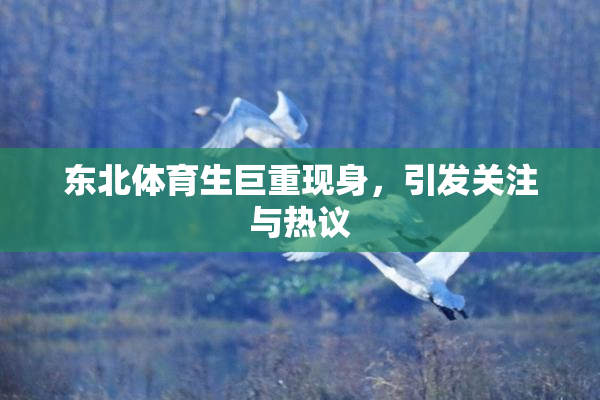 东北体育生巨重现身，引发关注与热议