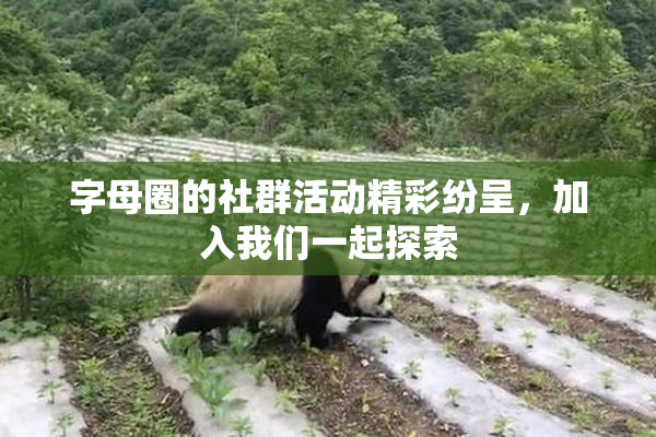 字母圈的社群活动精彩纷呈，加入我们一起探索