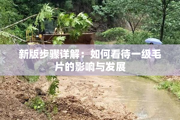 新版步骤详解：如何看待一级毛片的影响与发展