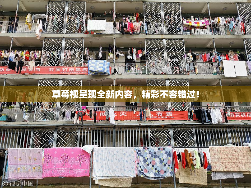 草莓视呈现全新内容，精彩不容错过！