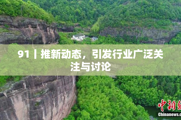 91丨推新动态，引发行业广泛关注与讨论