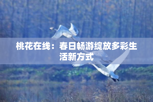桃花在线：春日畅游绽放多彩生活新方式