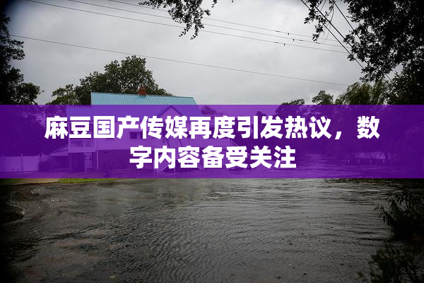 麻豆国产传媒再度引发热议，数字内容备受关注