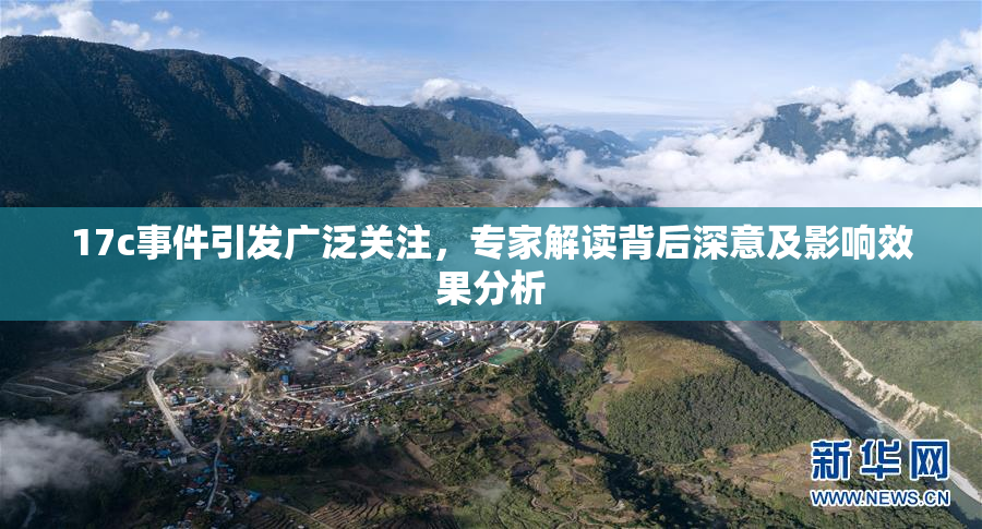 17c事件引发广泛关注，专家解读背后深意及影响效果分析