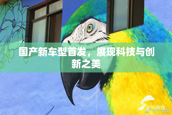 国产新车型首发，展现科技与创新之美