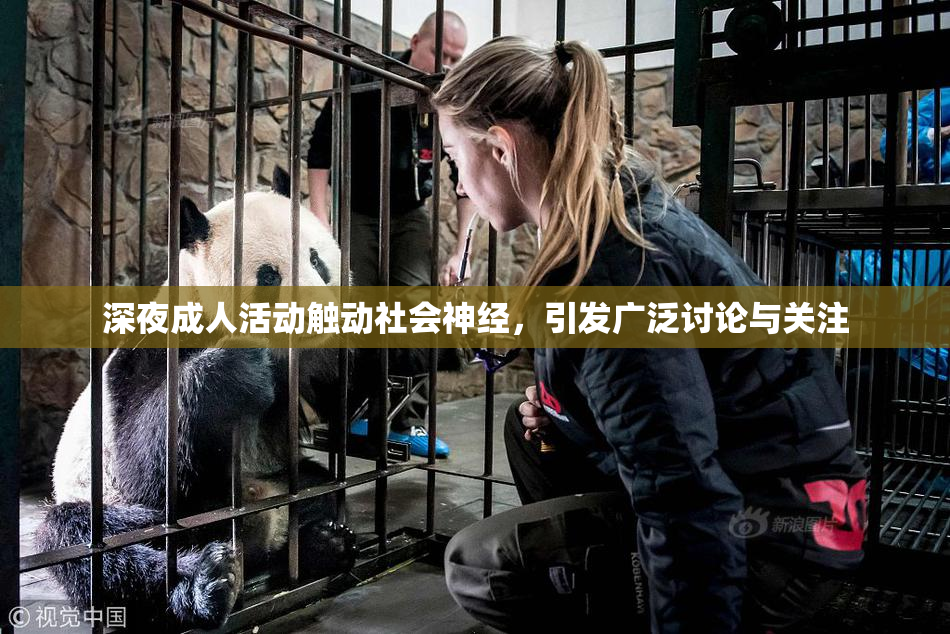 深夜成人活动触动社会神经，引发广泛讨论与关注