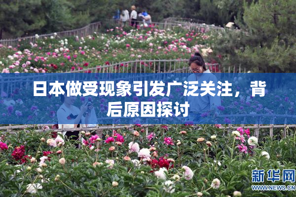 日本做受现象引发广泛关注，背后原因探讨